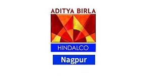 Birla Nagpur